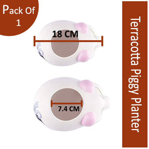 Terracotta Money Plant/ Piggy Planter-1qty