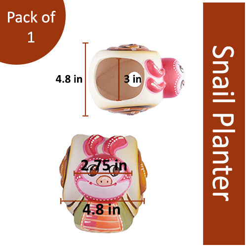 Terracotta Money Plant Snail Planter