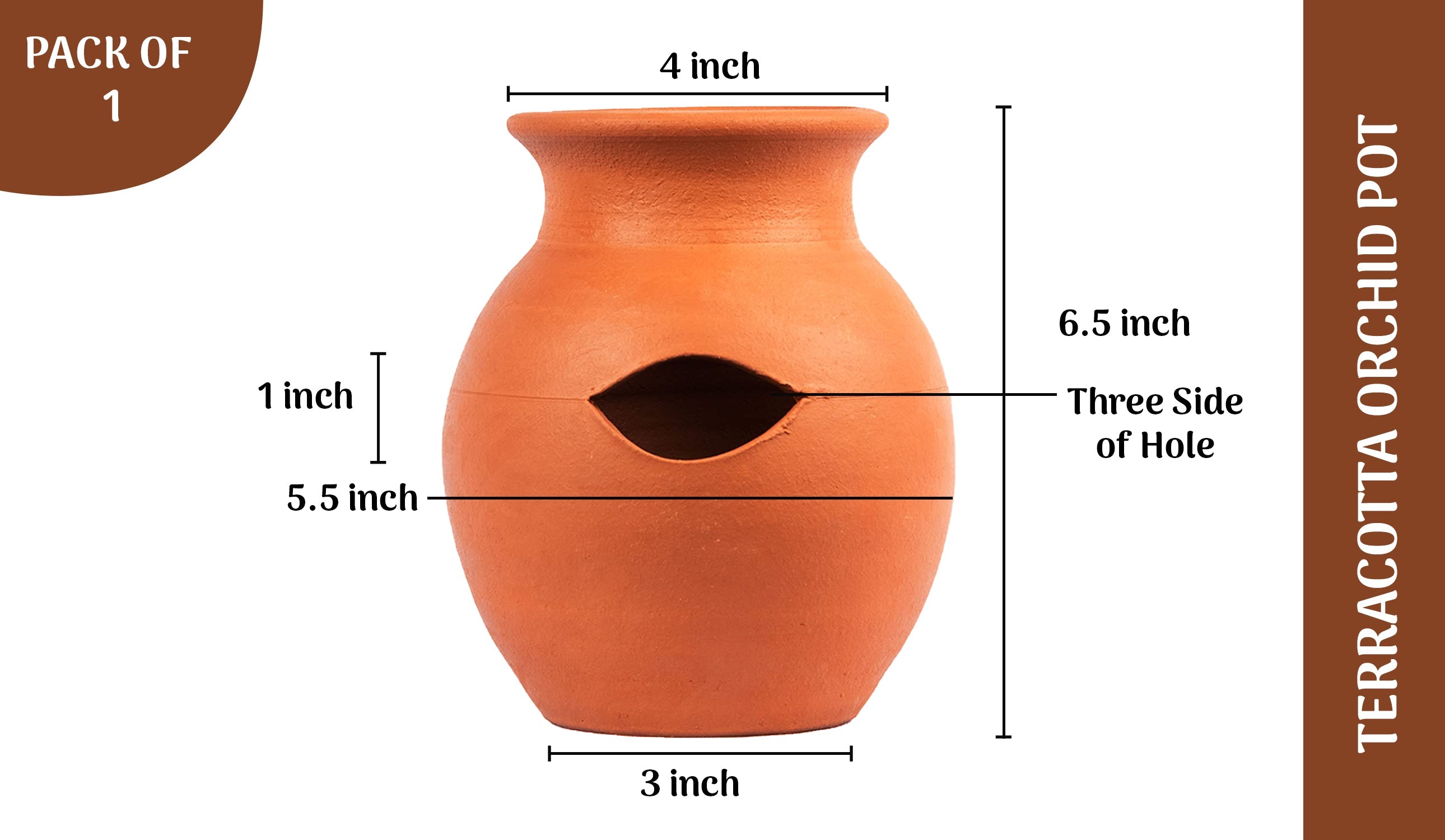 Terracotta Orchid Pot Pack of 1