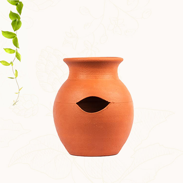 Terracotta Orchid Pot Pack of 1