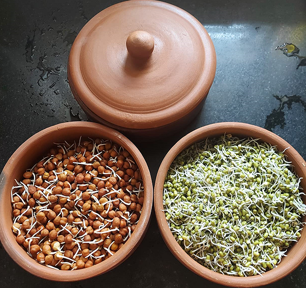 How to use sprout box / Sprout maker