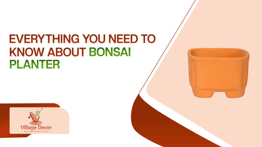 Everything You Need to Know About Bonsai Planter