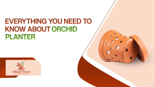 Everything You Need to Know About Orchid Planter