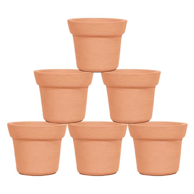 Terracotta Plant Container without Bottom Tray 4inch