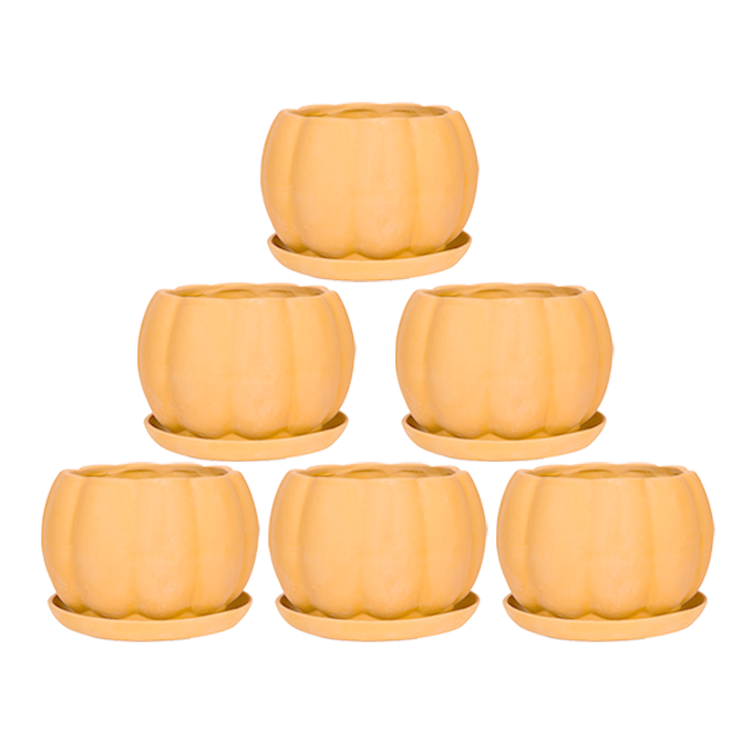 Village Decor Terracotta Pumpkin shape Succulent Pot with Tray Pack of 6 (Dia - 3.8 inch)