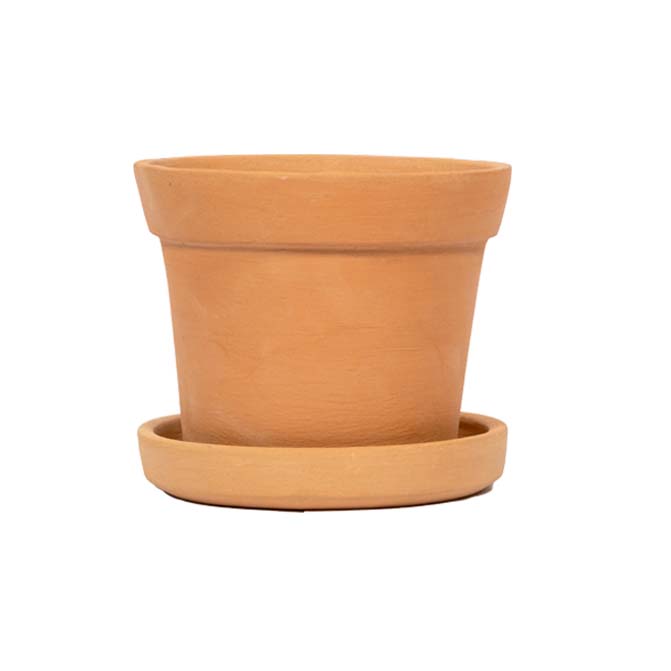 Terracotta Flower Pot, Brown(6 inch 1 Qty)