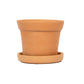 Terracotta Money Plant Container with Bottom Tray 8 inch 1QTY