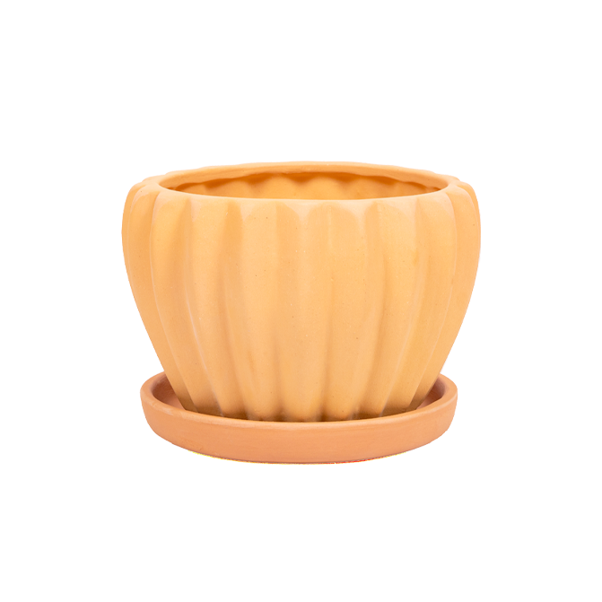 Village Decor Terracotta Flower Pot with Bottom Tray - Dia 6.3 inch