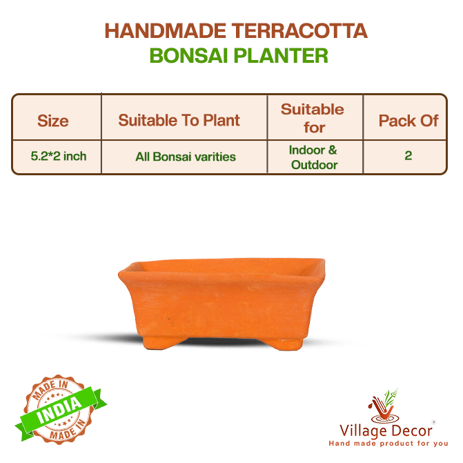 Village Decor Terracotta Rectangular Tray Shape Bonsai Planter Pack of - 2 (Height - 2 inch)