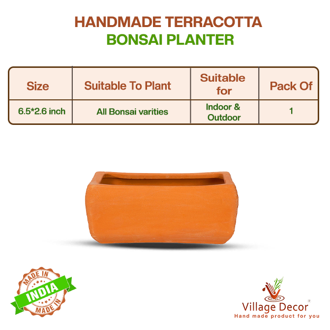 Village Decor Terracotta Rectangular shape Bonsai pot (Height - 2.6 inch)