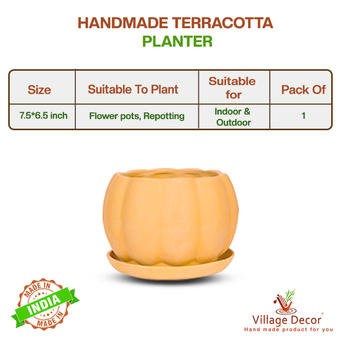 Village Decor Terracotta Pumpkin Shape Flower Pot with Tray - Dia 7.5 inch