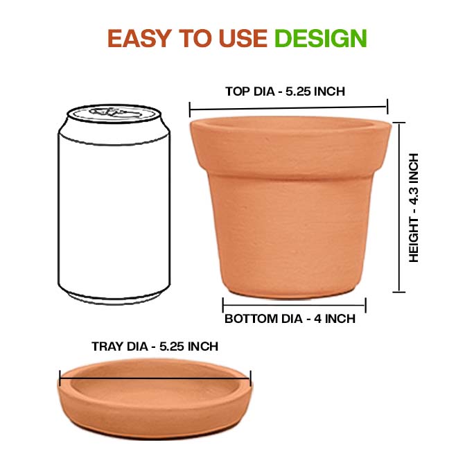 Terracotta Money Plant Container (5 inch 1 Qty)