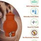 Earthen Clay Water Pot with Lid &tap (Pre-seasoned) -4000ml