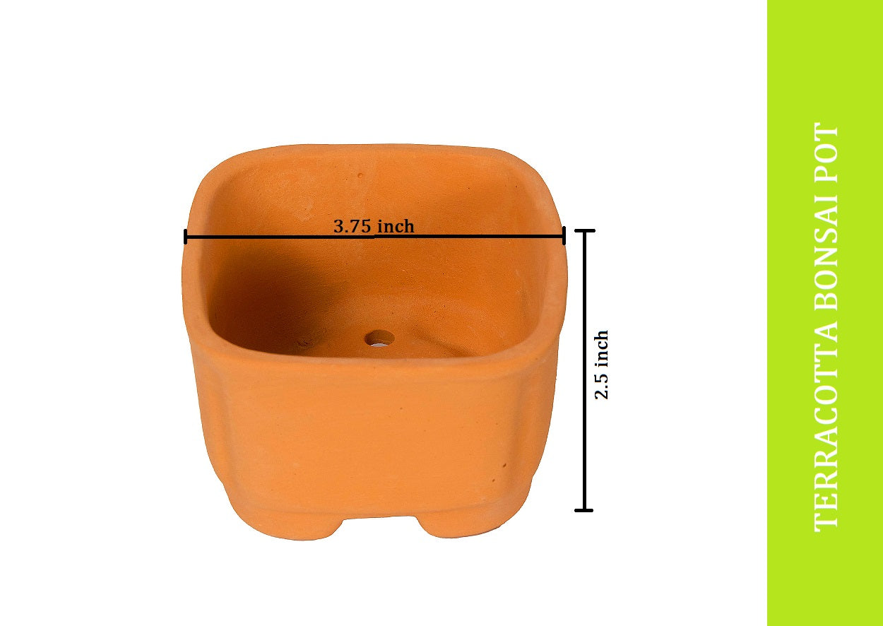 Terracotta Square Shape Bonsai Pot Pack of 2- (Width 3.7 inch)