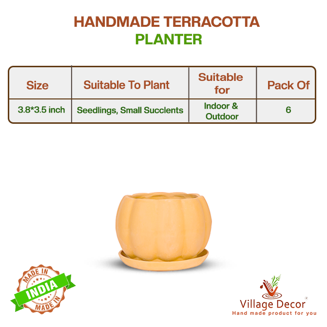 Village Decor Terracotta Pumpkin shape Succulent Pot with Tray Pack of 6 (Dia - 3.8 inch)