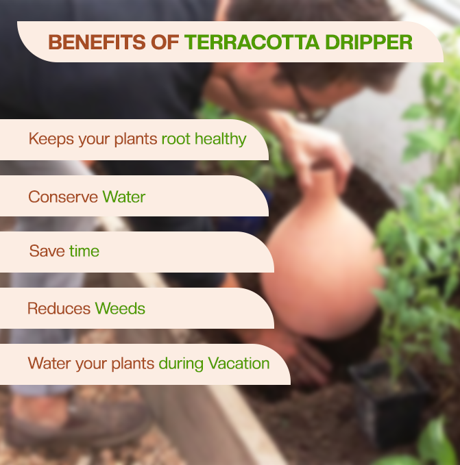 Village Decor Terracotta Self Watering Water Dripper Automatically Water Your Plants