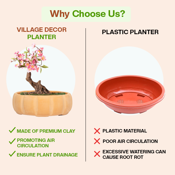 Village Decor Terracotta Bonsai Pot (Large)
