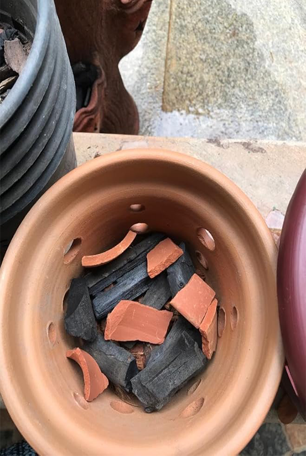 Clay chips and charcoal placed in a terracotta pot with holes to support plant drainage and healthy root growth.

