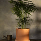 Terracotta Flower Pot with Bottom Tray  8.5 inch