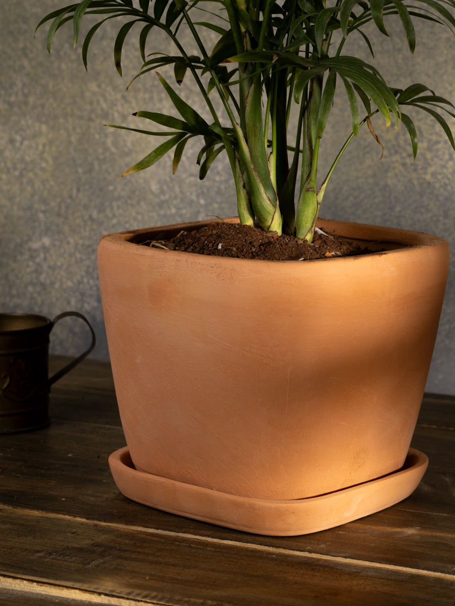 Village Decor Square Shape Flower Pot with Tray (L * W - 7.5 * 7.5 inch)