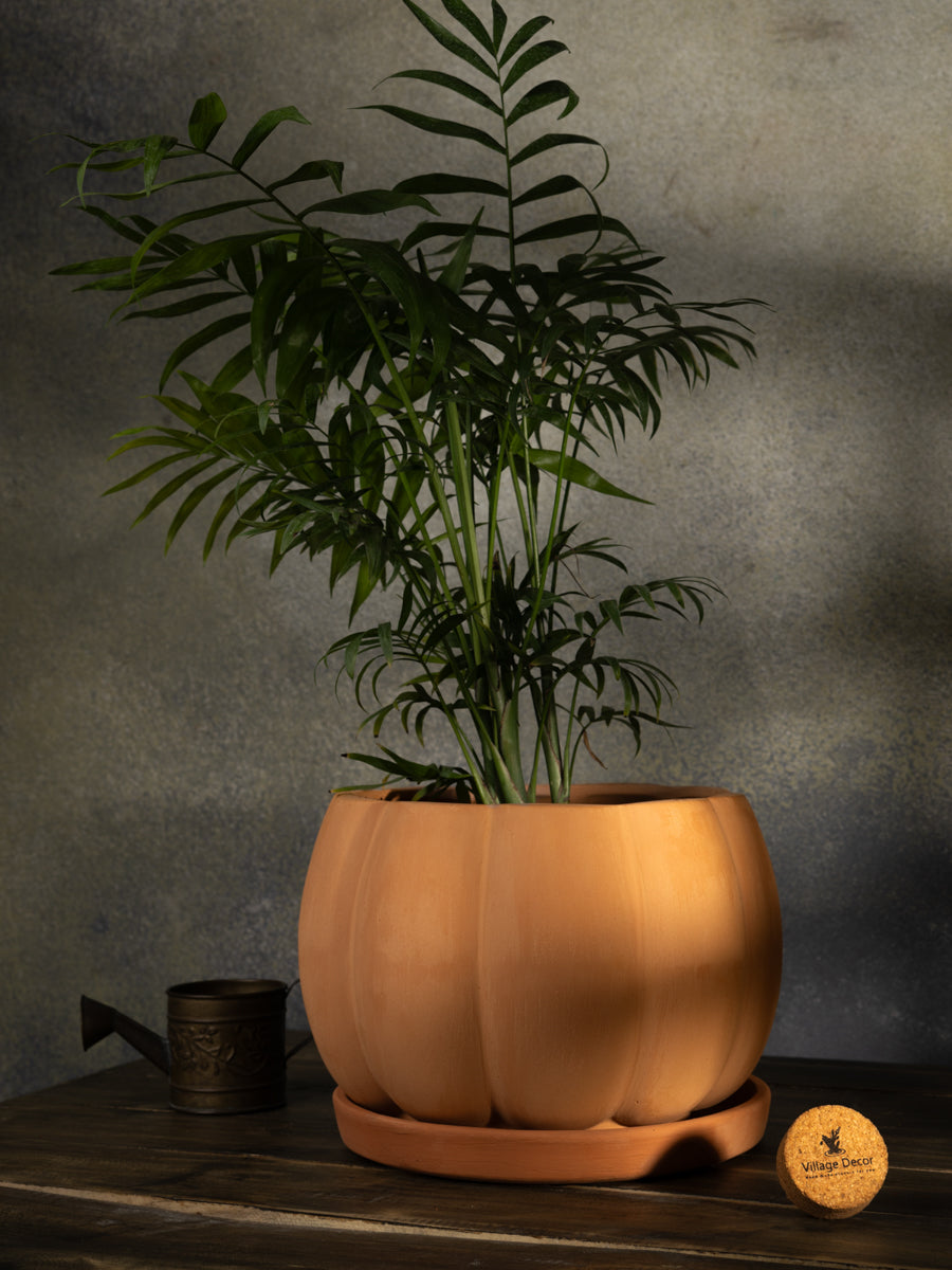 Village Decor Terracotta Pumpkin Shape Flower Pot with Tray - Dia 6 inch