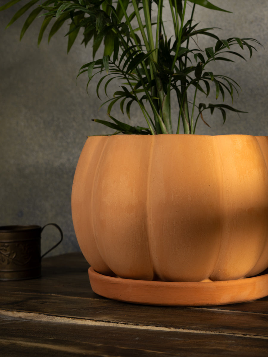 Village Decor Terracotta Pumpkin Shape Flower Pot with Tray - Dia 6 inch
