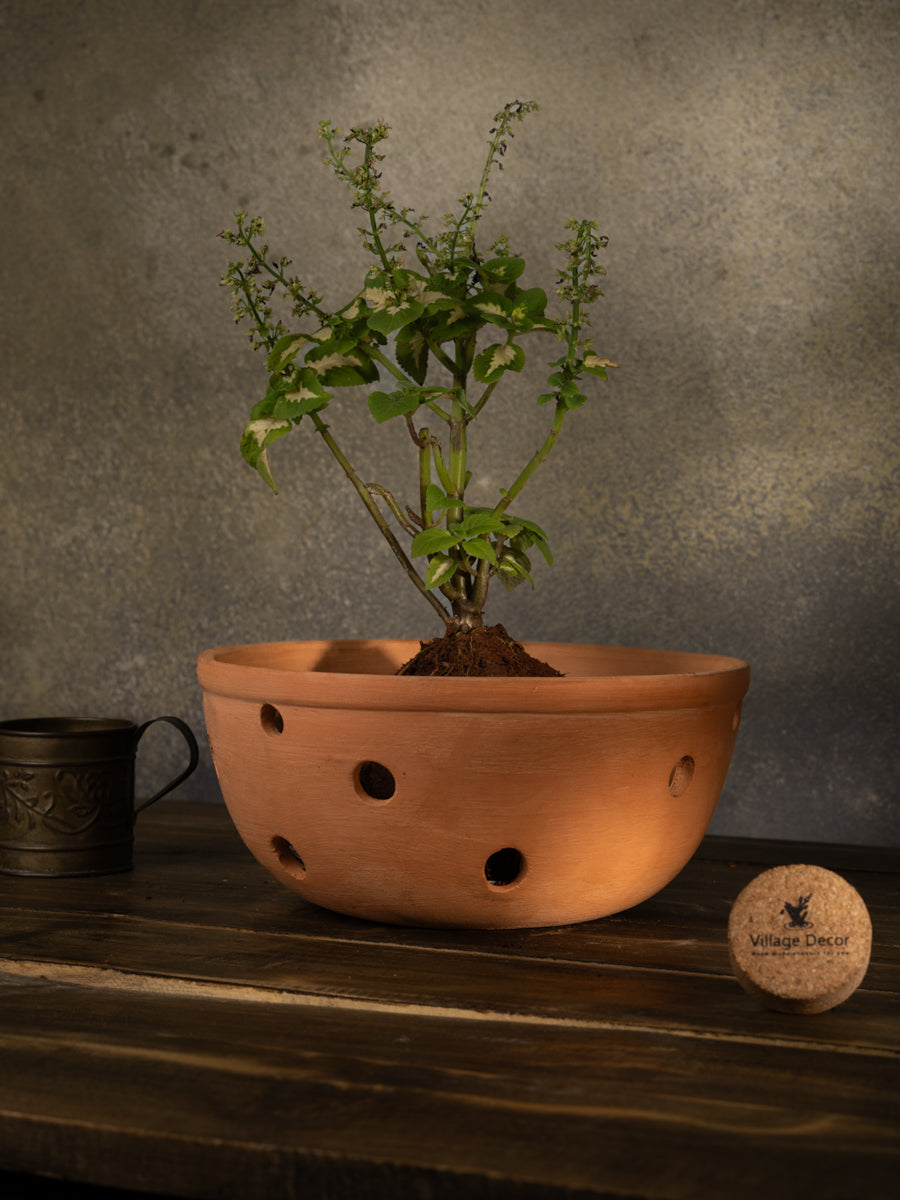 Village Decor Terracotta Hanging Bowl Shape Orchid Planter wit Rope (Dia - 8.8 inch)
