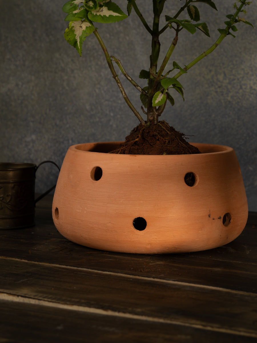 Village Decor Terracotta Orchid Pot (7 inch)