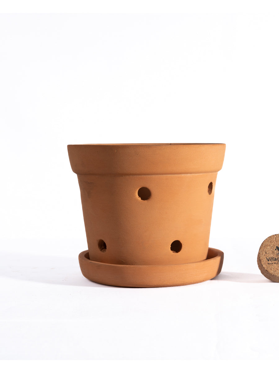 Terracotta Orchid Pot 6 inch 1 Qty