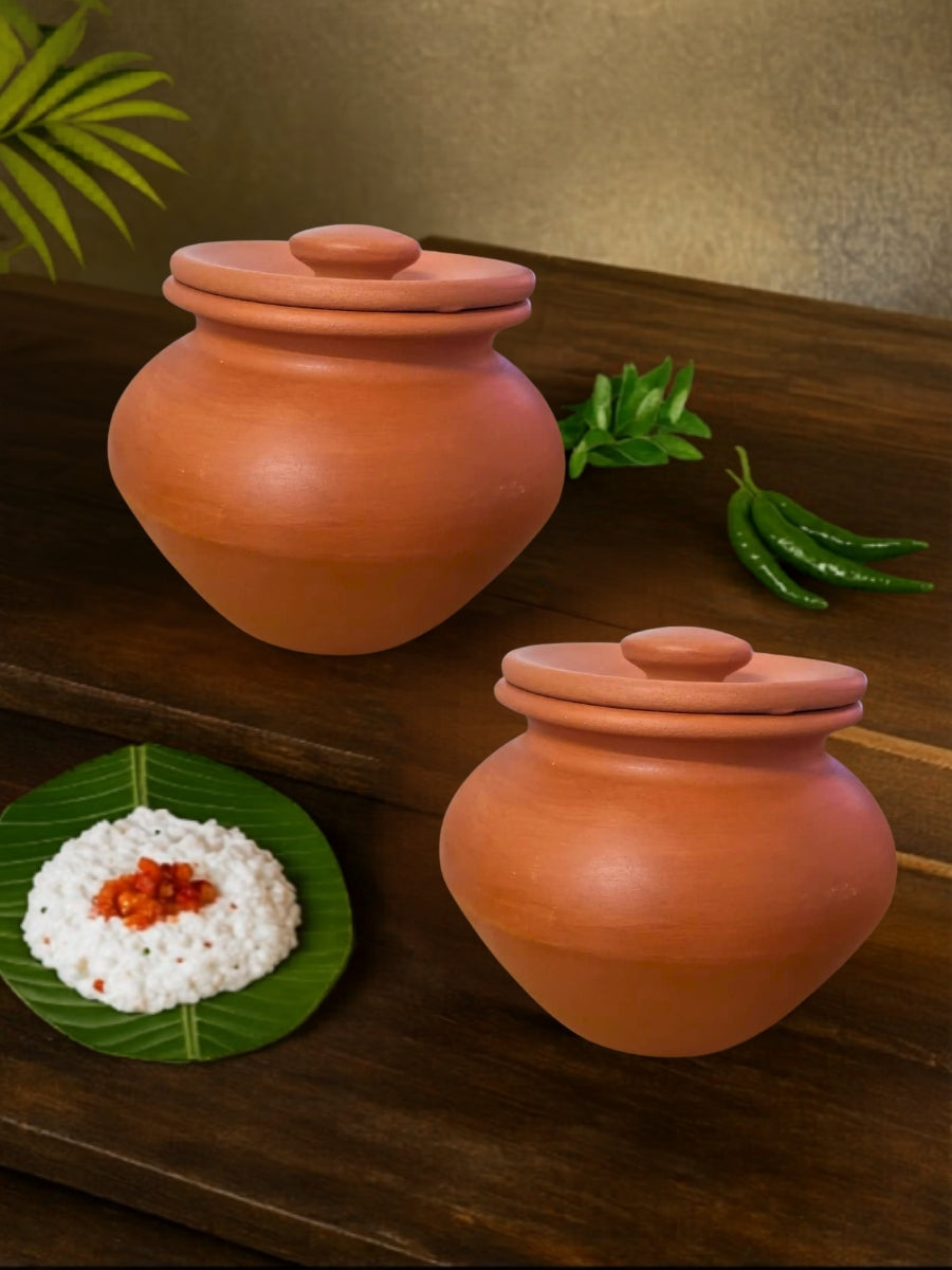 Traditional terracotta curd pot for making thick homemade yogurt