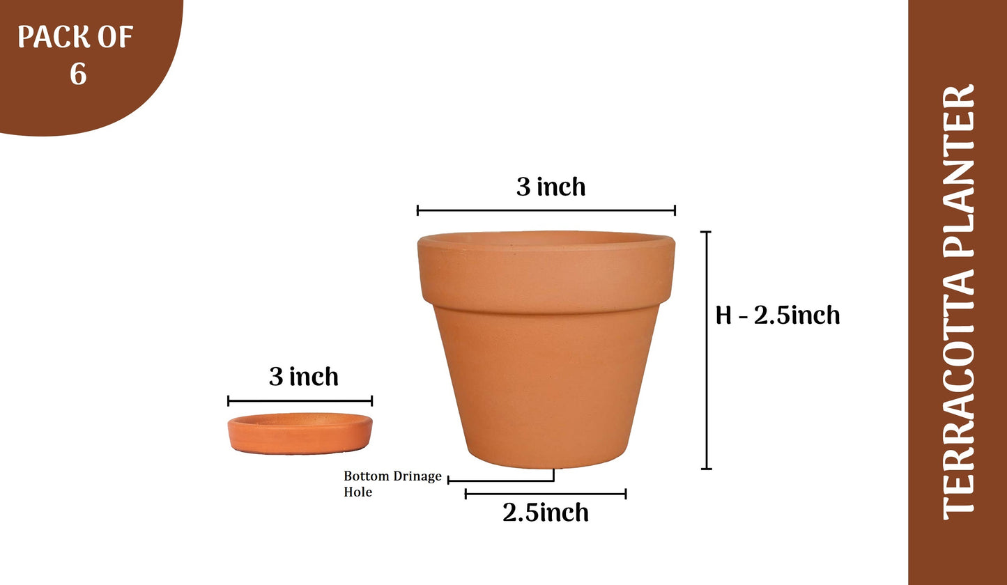 Terracotta Plant Container with Bottom Tray (Brown, 3 x 3 inch) (3 inch 6 Qty)