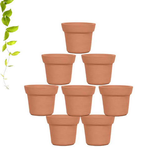 Terracotta Plant Container 3 inch