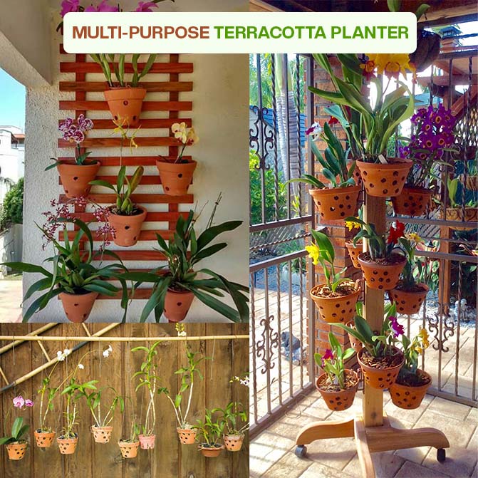 Village Decor Terracotta Orchid Pot/Planter (Dia - 6 inch)…
