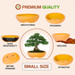 Village Decor Terracotta Oval shape Bonsai Planter (L * W - 9.3 * 7 inch)…