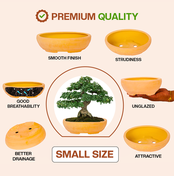 Village Decor Terracotta Oval shape Bonsai Planter (L * W - 9.3 * 7 inch)…