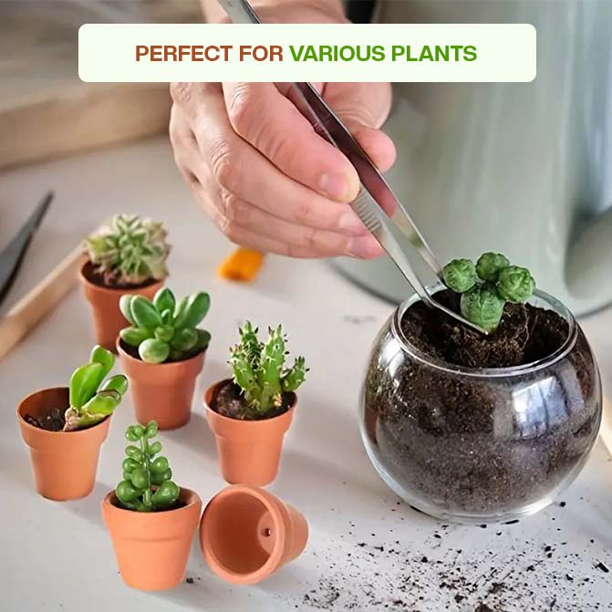 Terracotta Succulent Pots 3 inch (Pack of 8)