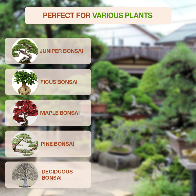 Village Decor Terracotta Rectangular Tray Shape Bonsai Planter Pack of - 2 (Height - 2 inch)