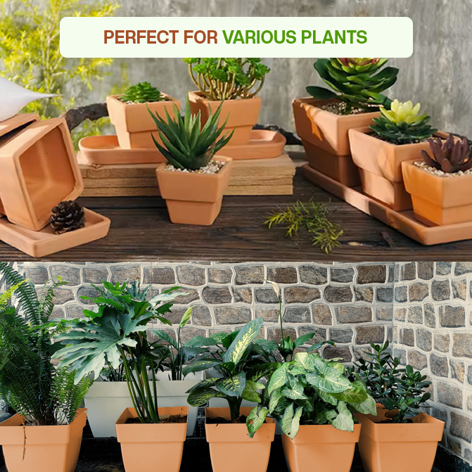 Village Decor Square planter with Tray (L * W - 4.5 * 4.5 inch)