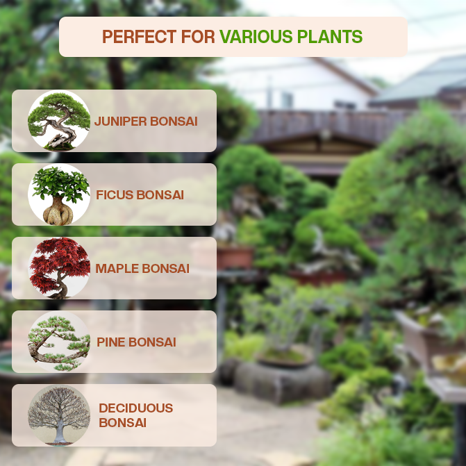 Village Decor Terracotta Round Shape Bonsai Planter - Dia 8 inch