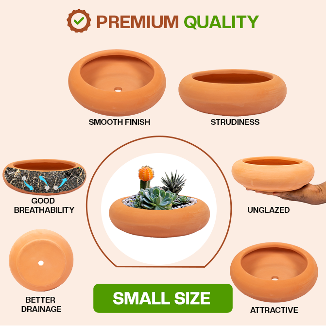 Terracotta Planter Container Bowl Shape Planter