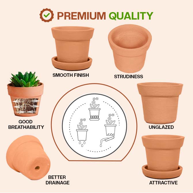Terracotta Flower Pot with Bottom Tray 4 Inch