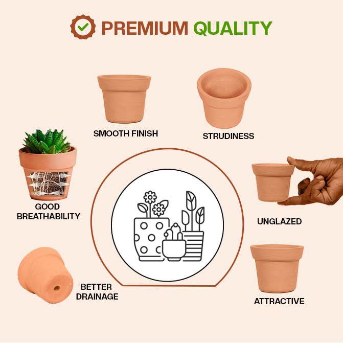Terracotta Succulent Pots 3 inch (Pack of 8)
