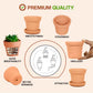 Terracotta  Money Plant Container (7 inch 1 Qty)