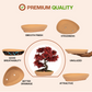 Village Decor Terracotta Uneven shape Bonsai planter (Big)