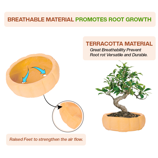 Terracotta garden pots clay planter with breathable design, raised feet, and airflow to support healthy root growth.