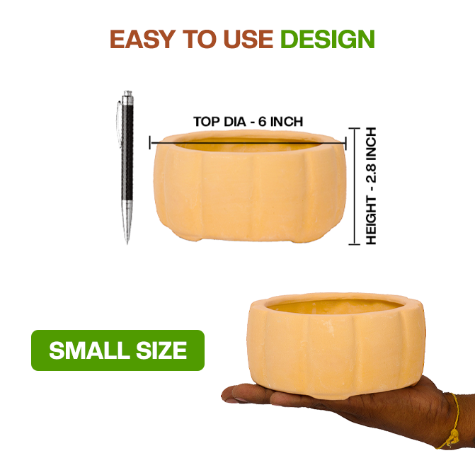 Terracotta bonsai Flower Pot showing easy to use design with dimension view and small size, ideal for indoor and outdoor plant lovers.
