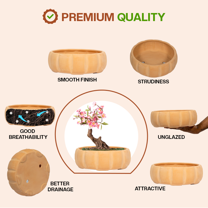Terracotta bonsai planter highlighting product features like smooth finish, sturdiness, good breathability, better drainage, unglazed design, and attractive look.
