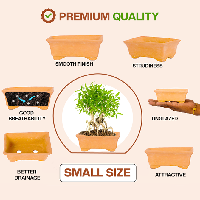 Terracotta bonsai planter highlighting product features like smooth finish, sturdiness, good breathability, better drainage, unglazed design, and attractive look.
