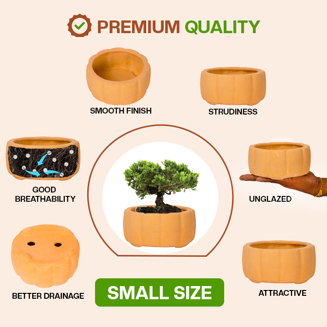 Terracotta bonsai planter highlighting product features like smooth finish, sturdiness, good breathability, better drainage, unglazed design, and attractive look.
