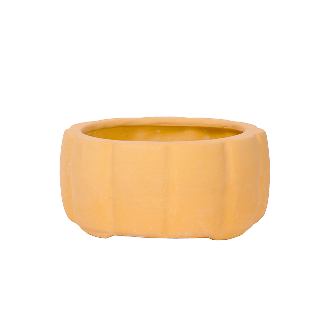 Round shape bonsai planter with white background view—perfect flower pot for indoor and garden spaces with a natural terracotta finish.
